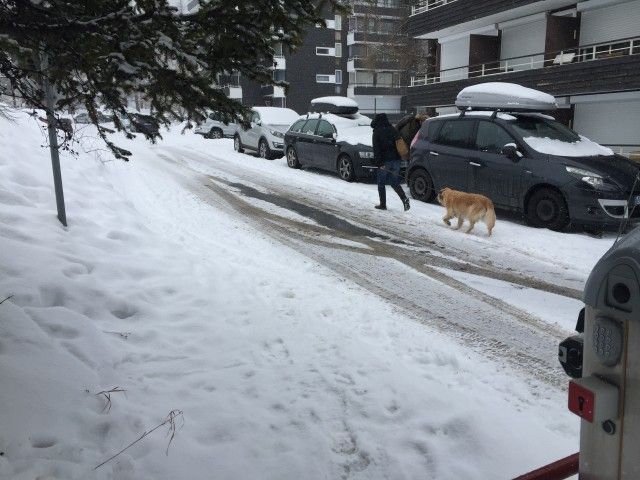 2015-02-14 13.21.55.jpg